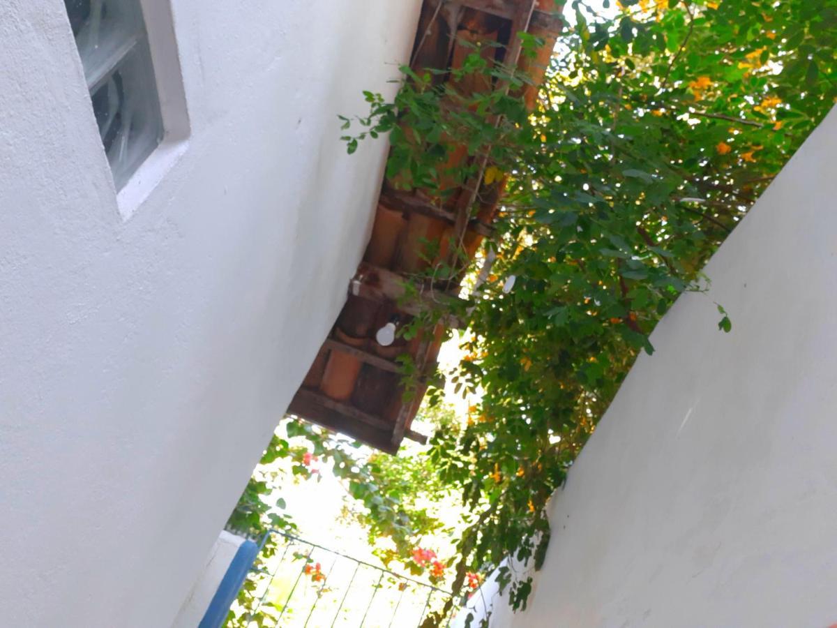 Arraial Casinha Centro Villa ปอร์โตเซกูโร ภายนอก รูปภาพ